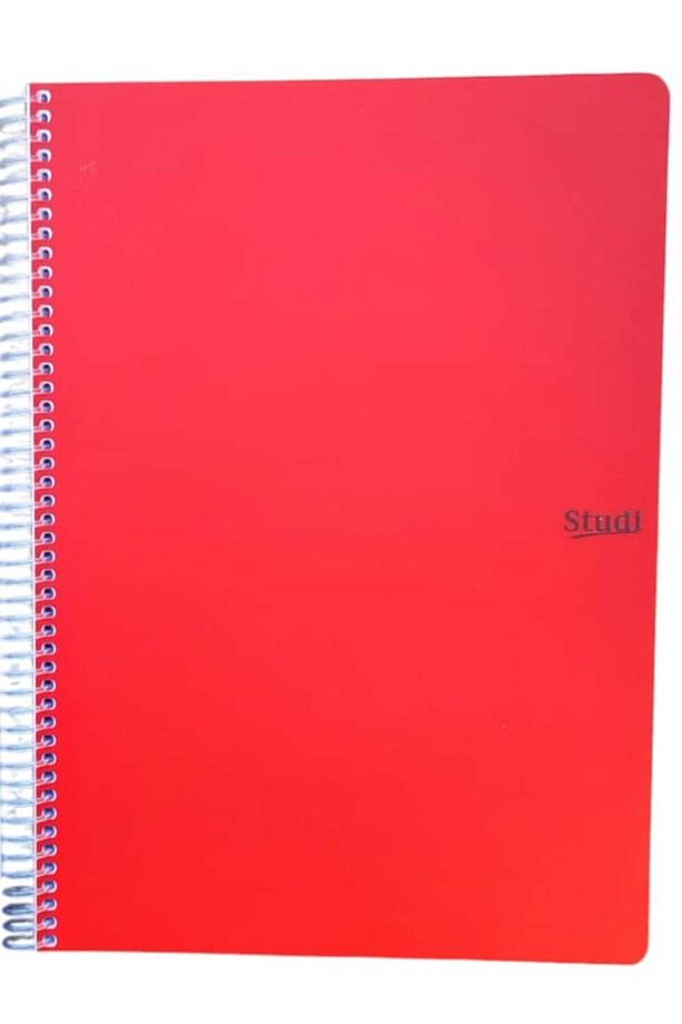 120 Yaprak A4 Kareli Defter 2 Adet - 3