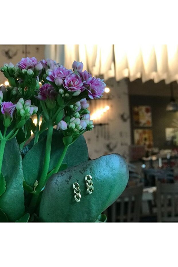 Mini Retro Chain Küpe - 3