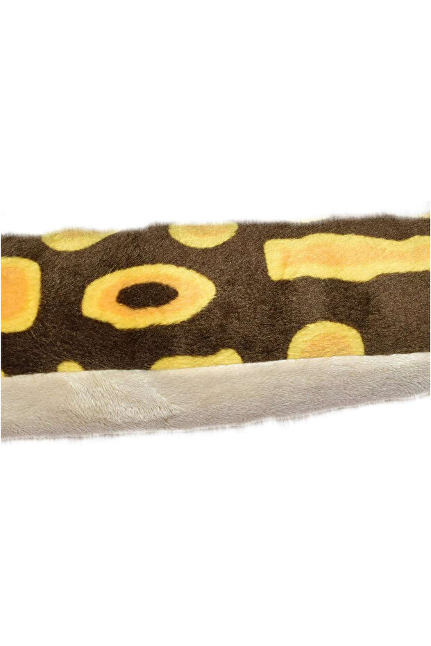 Ball Python Snake - 3