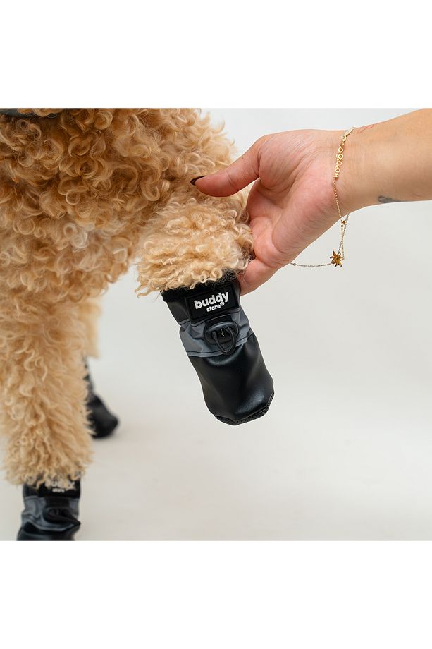 Köpek Ayakkabısı Yumuşak Kaydırmaz Su Geçirmez Taban Fermuarlı & Ayarlanabilir Eğitim Ayakkabısı - 2