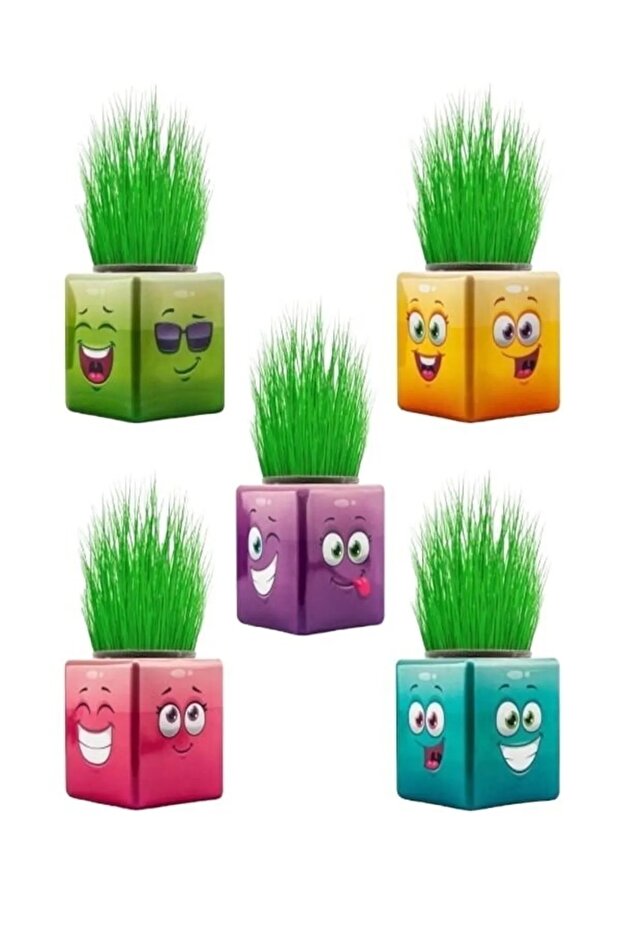 10 Pieces Mixed 3 Sided Emoji Cube Grass Men School and Preschool Gift Çimoji Grass Man