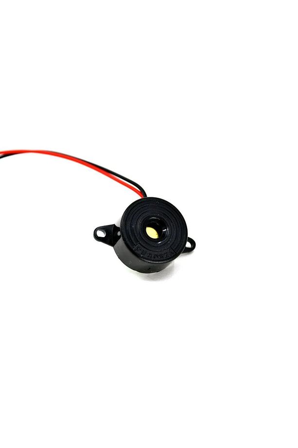 Buzzer 12 ~ 24Volt DC 23mm Kablolu Devreli - 1