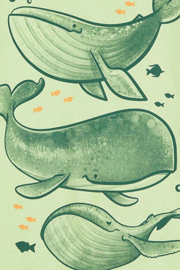 Erkek Bebek Pijama Set - 3