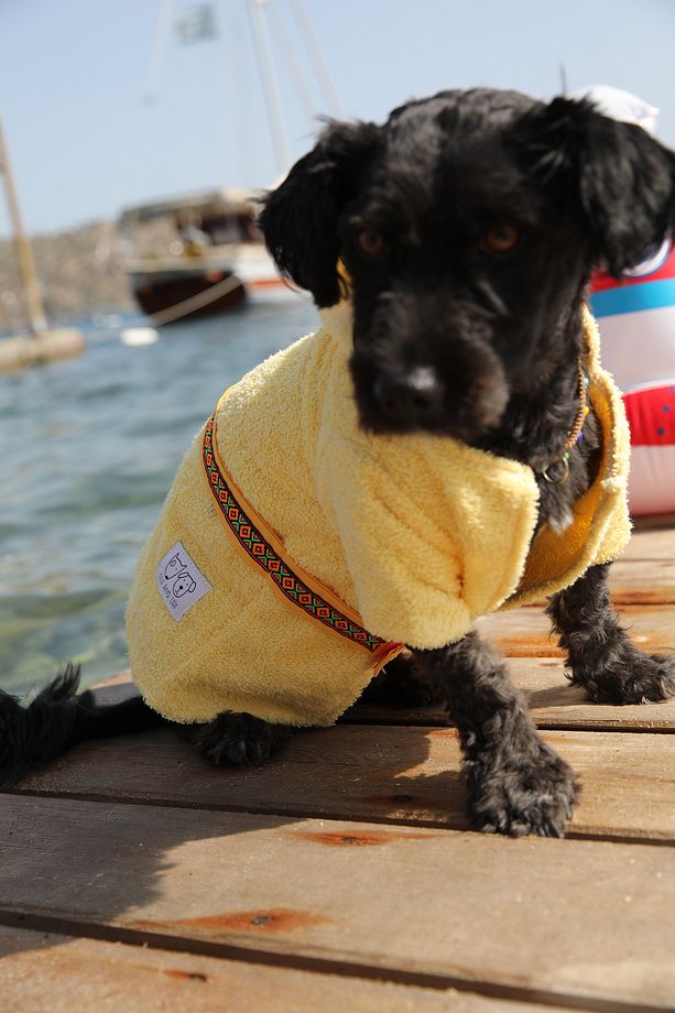 SARI HAVLU Köpek Bornozu - 5