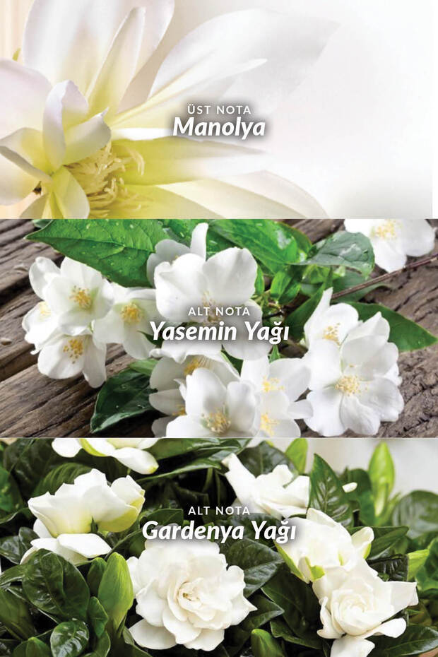 Premiere Luxe Kadın EDP - 4