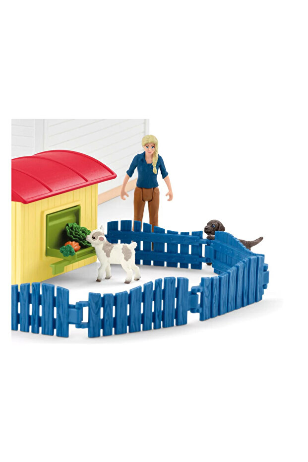 Evcil Hayvan Oteli 42607 - 2