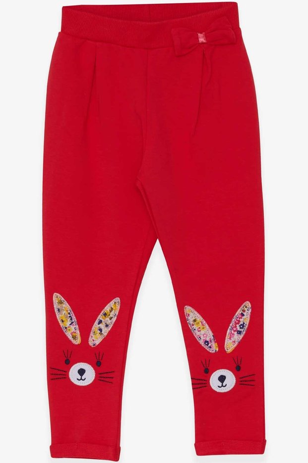 9 Months-3 Years Baby Girl Leggings Pants - Rabbit Embroidery and Pomegranate Flower