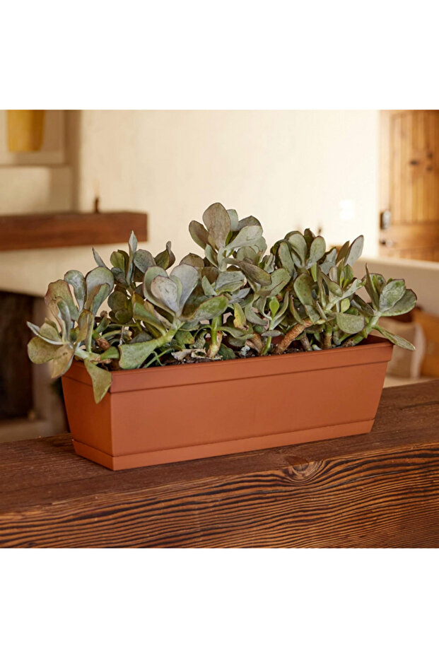 صندوق نباتات مقاوم للعوامل الجوية ومحمي من الأشعة فوق البنفسجية - 5