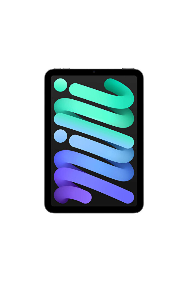 iPad mini Wi-Fi 128GB - Uzay Grisi