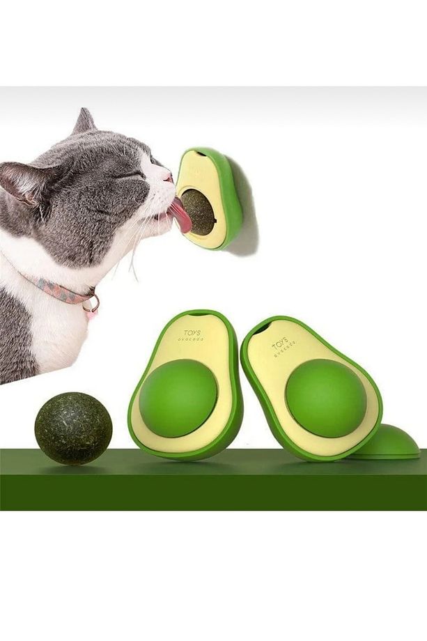 Kedi Çimi Seti 2 Adet Kedi Çimi 1 Adet Kedi Avokado catnip Set - 4