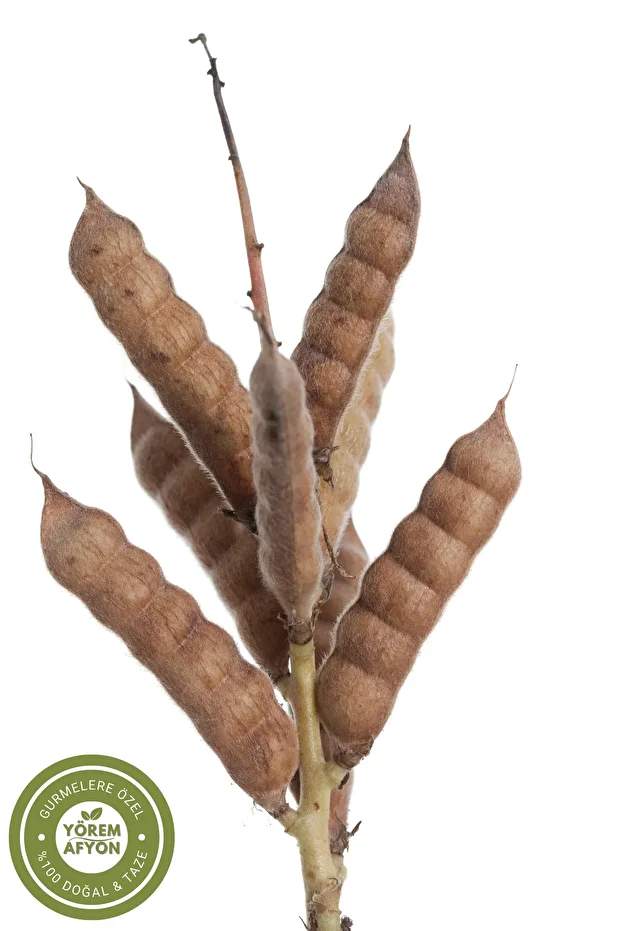 Yörem Afyon Meşhur Balıkesir Yöresinden Acı Bakla, Termiye, Yahudi Baklası {Lupinus} | 900Gr. - 5
