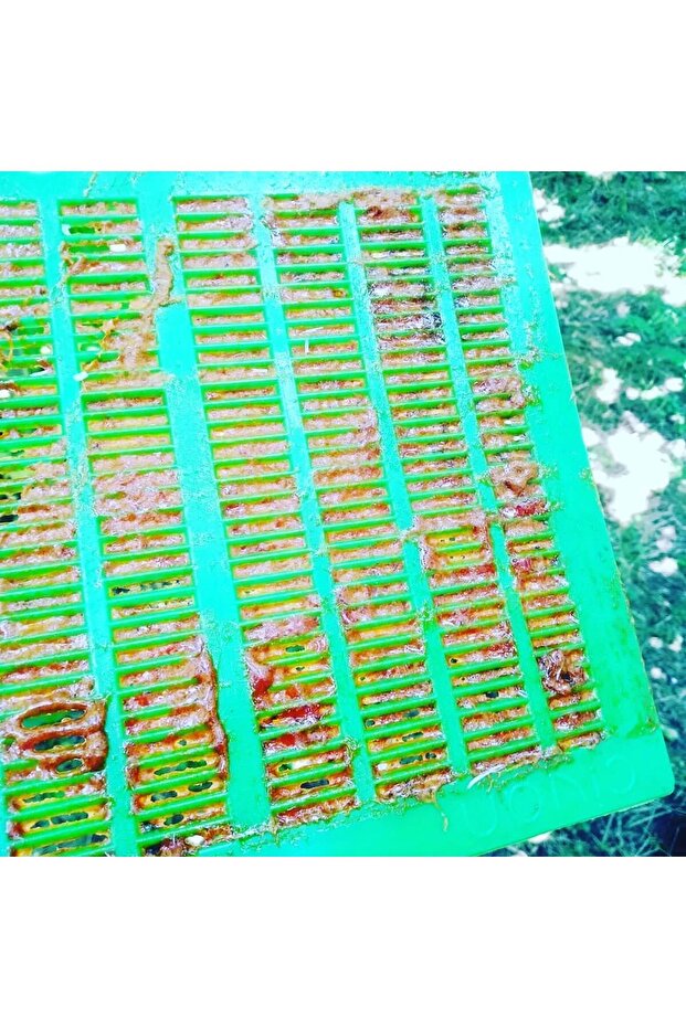 100 gr Ham Propolis - 2