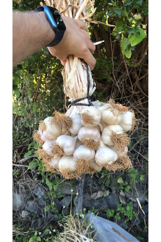 Kastamonu Taşköprü Sarımsak 1 Kg - 1