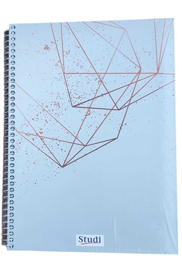 120 Yaprak A4 Çizgili Defter 2 Adet - 2