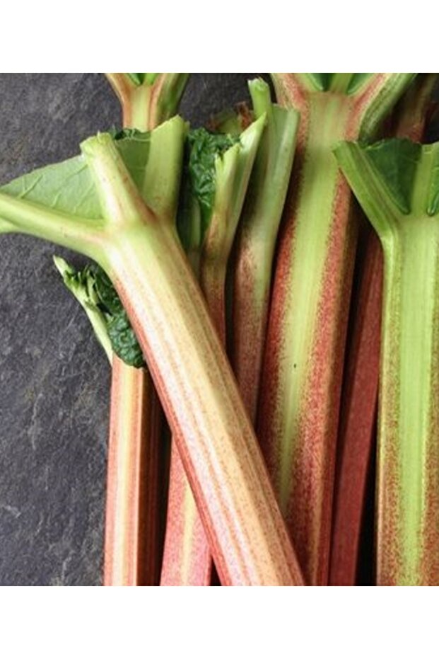 Işkın Kökü 250 gr - Bakkal Hasan - 6