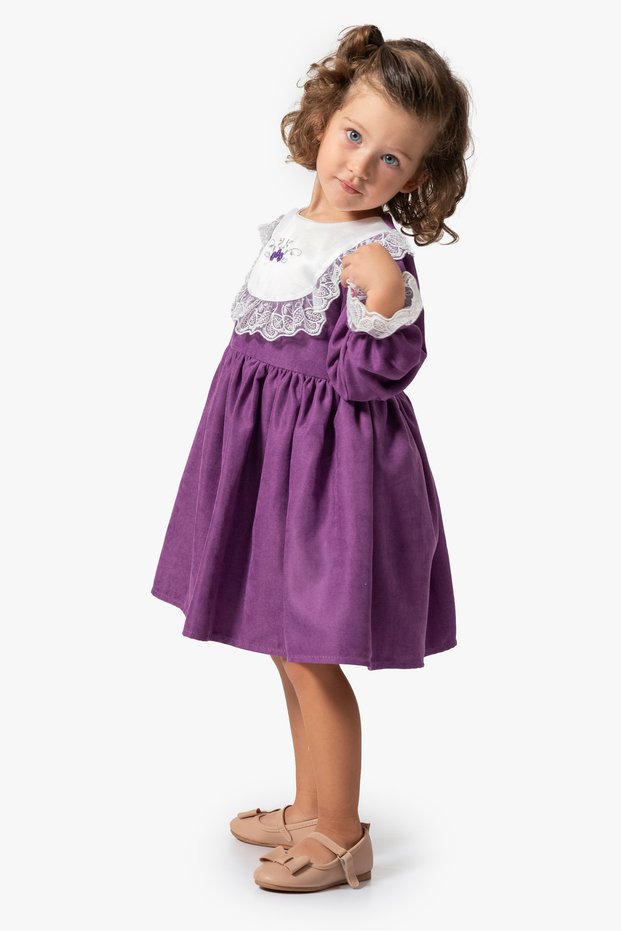 Baby Girl Dress Girls' Dress Birthday Party Wedding Long Sleeve Lined Dress