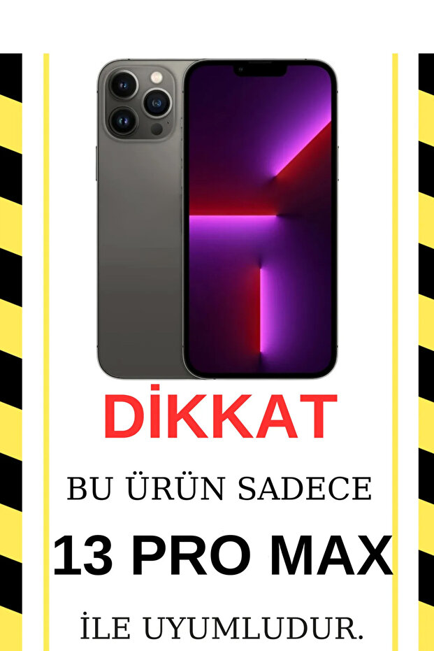 iPhone 13 Pro Max Compatible Camera Protected Launch Daisy Pattern Launch Case - 2