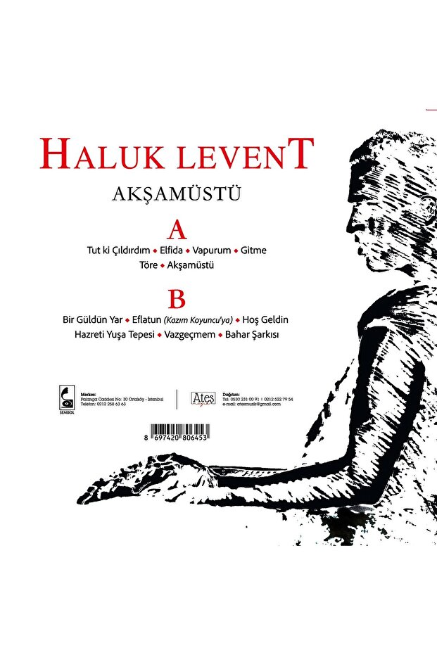 Haluk Levent - Akşamüstü (Plak) - 2
