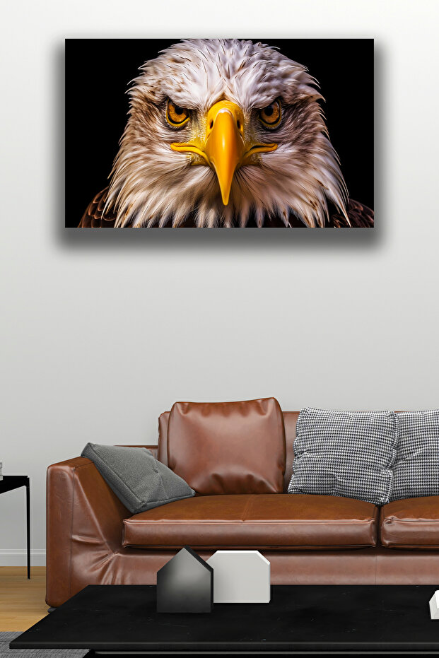 Eagle's Eye View Illustrated Painting, Home, Living Room, Office Wall Decoration, Eagle Ornament, Eagle Posture Panel, 30 X 40 cm