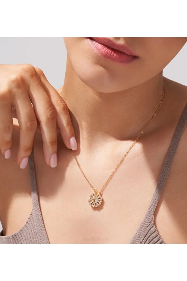 قلادة البرسيم المغناطيسية - 3