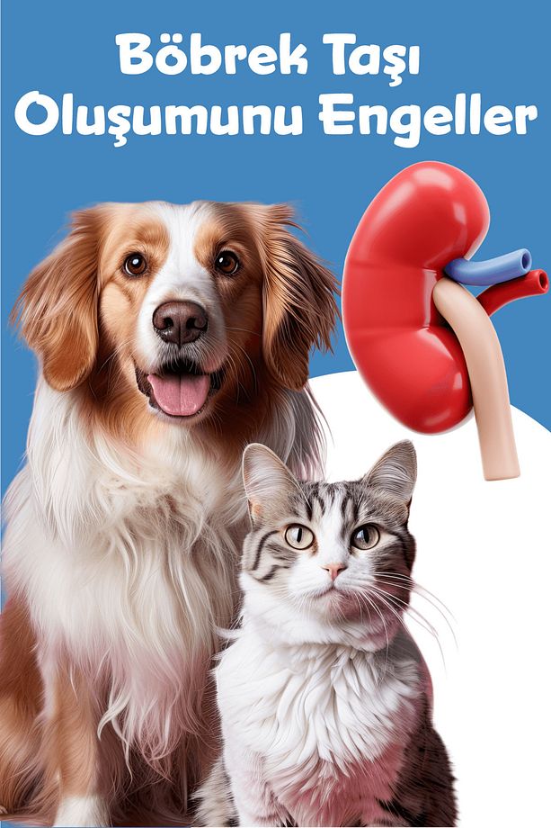 Urinary Plus D Tablet Kedi Ve Köpek (kedi Ve Köpekler Için Üriner Sağlık Destek Tableti 75 Adet) - 3