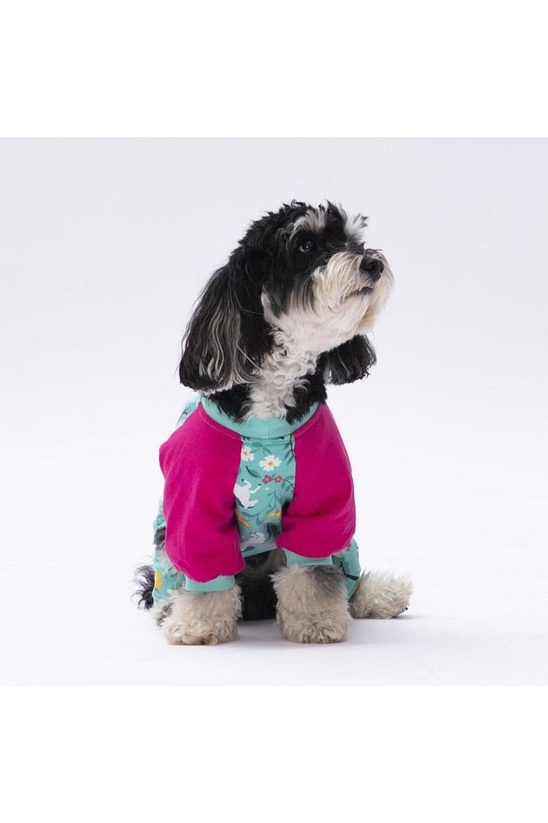 Mint Unicorn Kedi Köpek Pijaması Kedi Köpek Tulumu Kedi Köpek Kıyafeti - 3