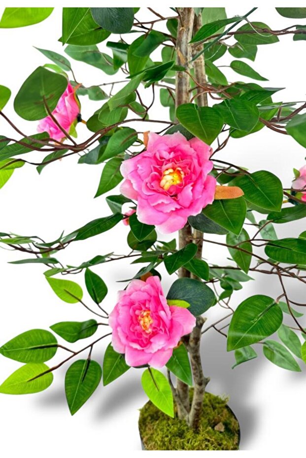 Yapay Ağaç Pembe Nilüfer Ağacı 90cm - 6