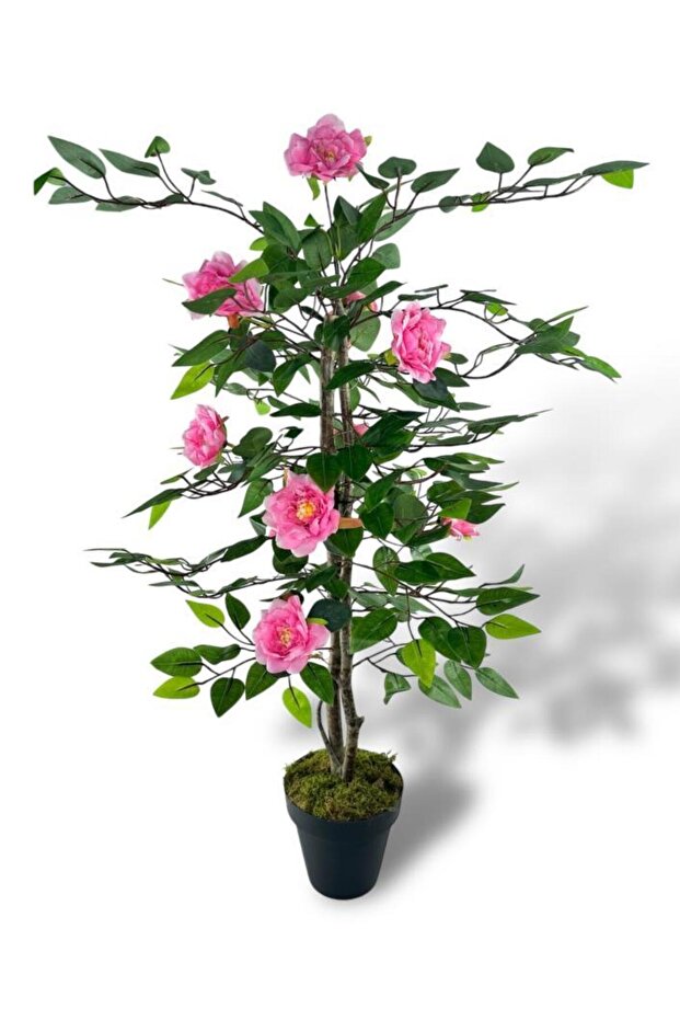 Yapay Ağaç Pembe Nilüfer Ağacı 90cm - 3