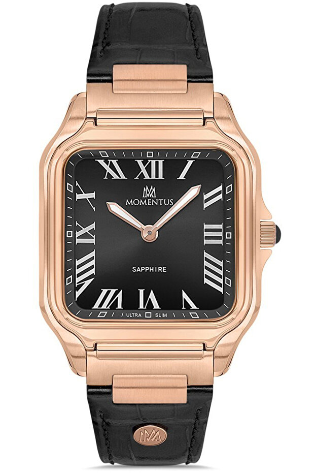 Men's Wrist Watch S.Em348R-04Br