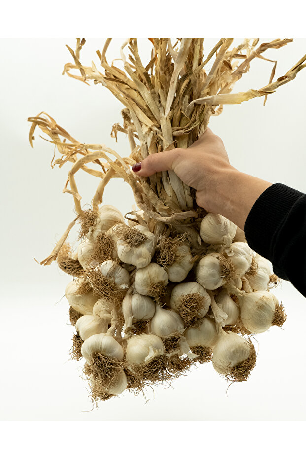 Kastamonu Taşköprü Sarımsak 1 Kg - 6