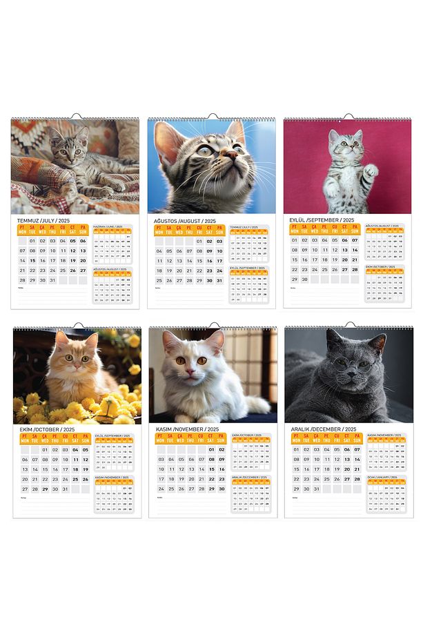 2025 KEDİ KONSEPT DUVAR TAKVİMİ - 6