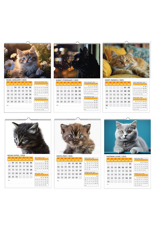 2025 KEDİ KONSEPT DUVAR TAKVİMİ - 5