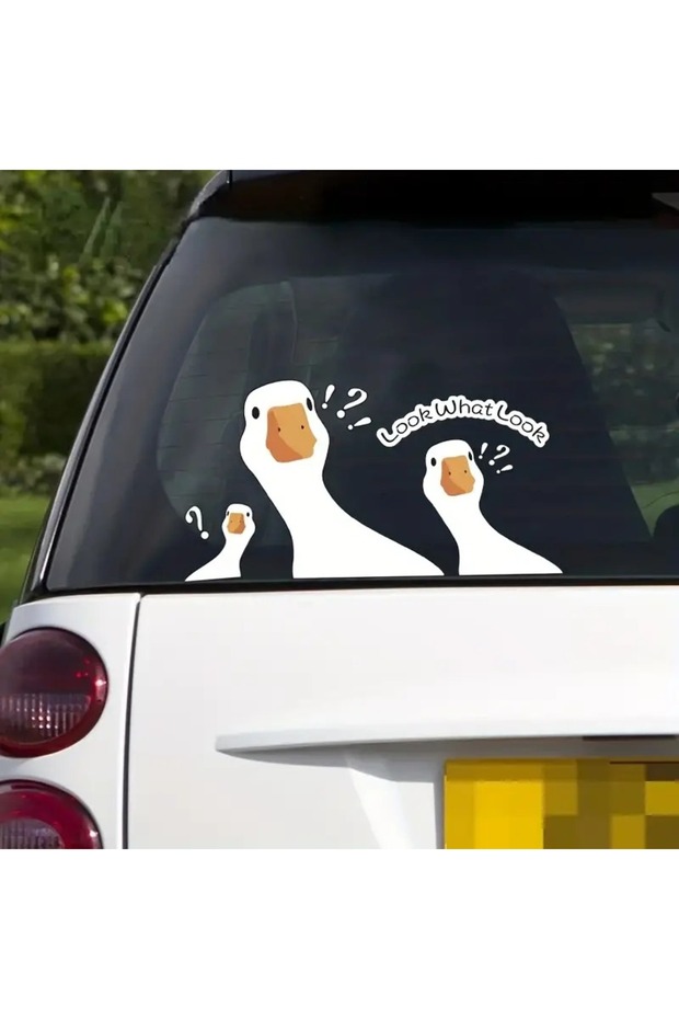 Look What Look Duck Sticker Set