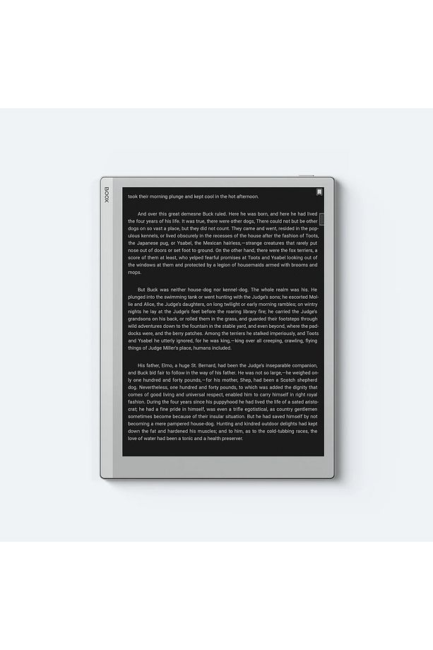 Go 10.3" E Kitap Okuyucu Orijinal Kılıf - (EKRAN AYDINLATMASI MEVCUT DEĞİL) - 6