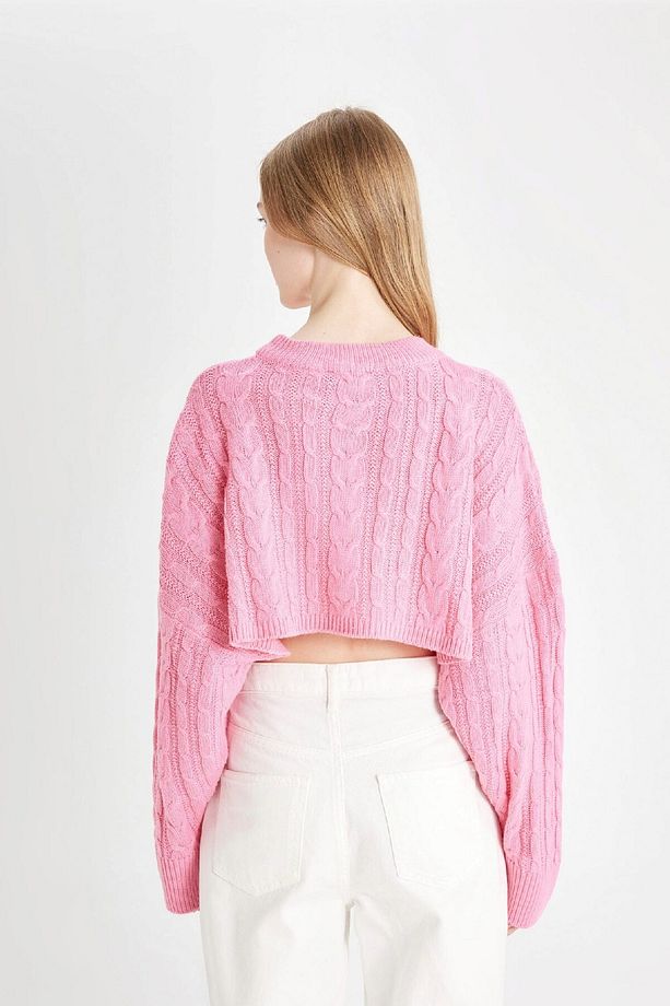 Coool Regular Fit Crop Bisiklet Yaka Saç Örgülü Triko Kazak T4518az24wn - 6