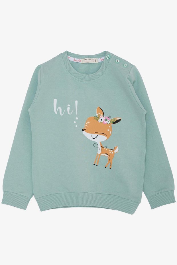 Girl's Sweatshirt Cute Gazelle Crowned Gazelle Printed 1.5-5 Years, Mint Green