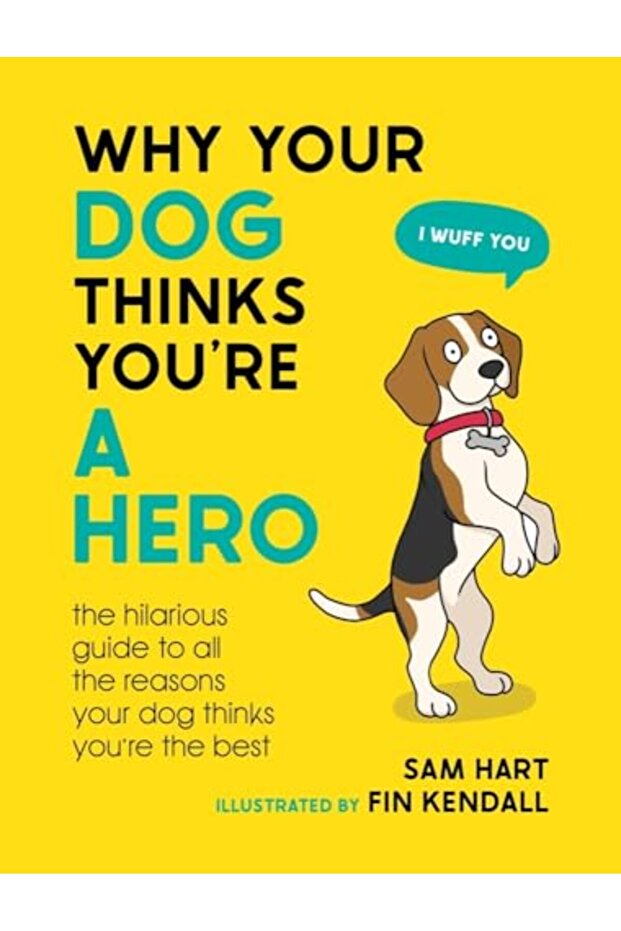 Why Your Dog Thinks Youre A Hero