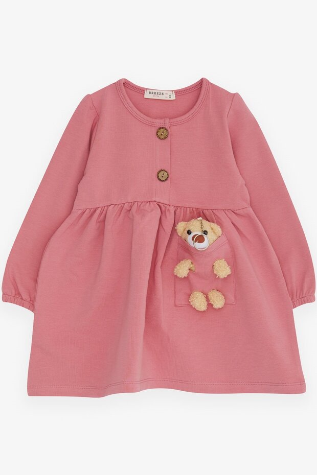 Girl's Long Sleeve Dress with Teddy Bear Accessory, Age 2-6, Dried Rose