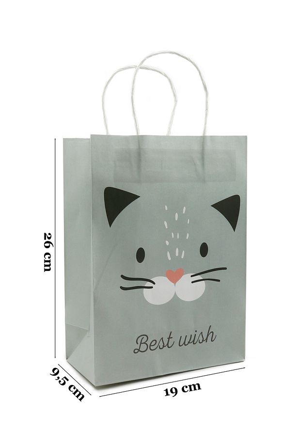 19x26 Sevimli Hayvan Temalı Kağıt Poşet 2 Adet ( Kedi Desen ) - 3