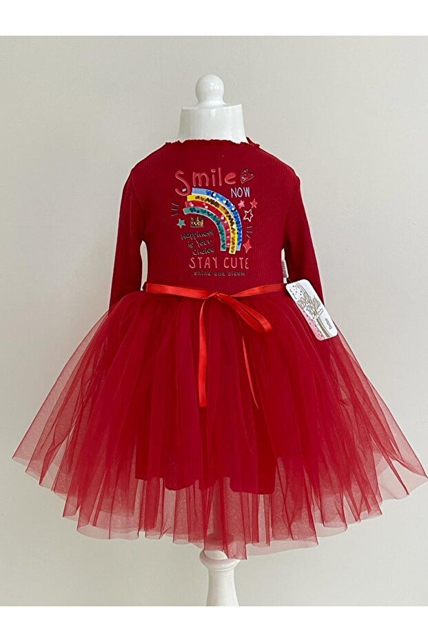Cotton Lined Long Sleeve Smile Printed Tulle Girl's Dress
