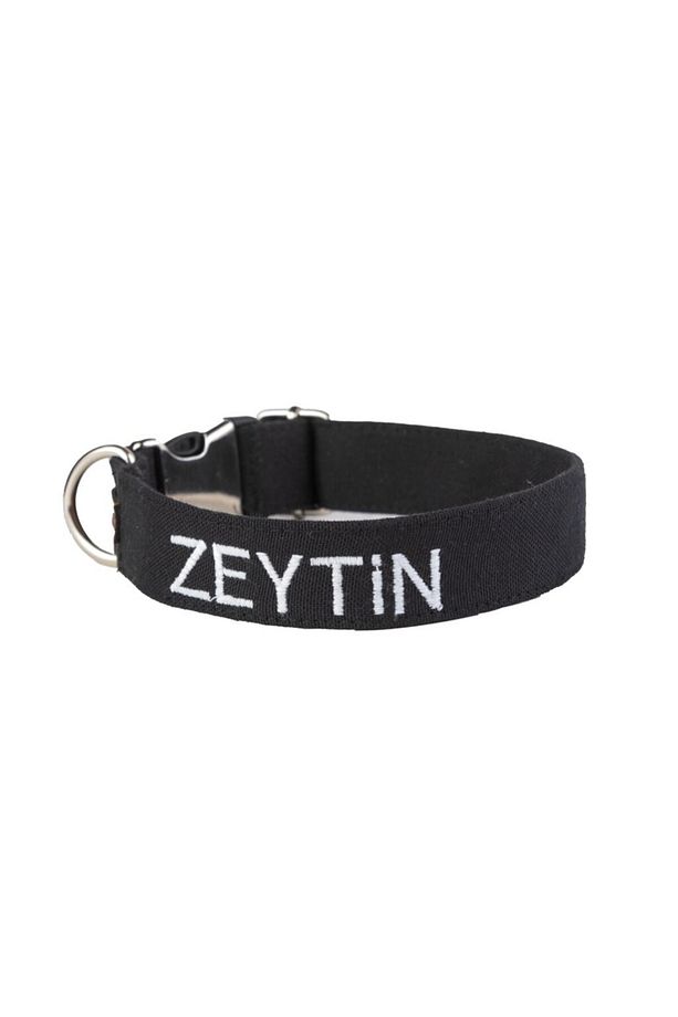 İsimli Köpek Tasma Seti İsimli Köpek Boyun Tasması İsimli Gezdirme Kayışı Kaka Poşeti Çantası - 2
