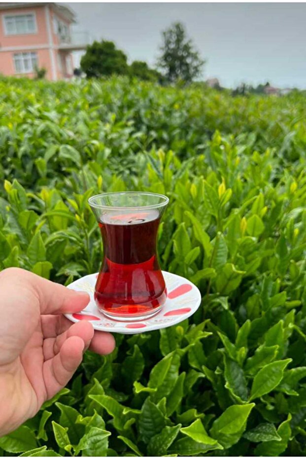 DEMLİK POŞET ÇAY (10GR) 3KG EV TİPİ - 3