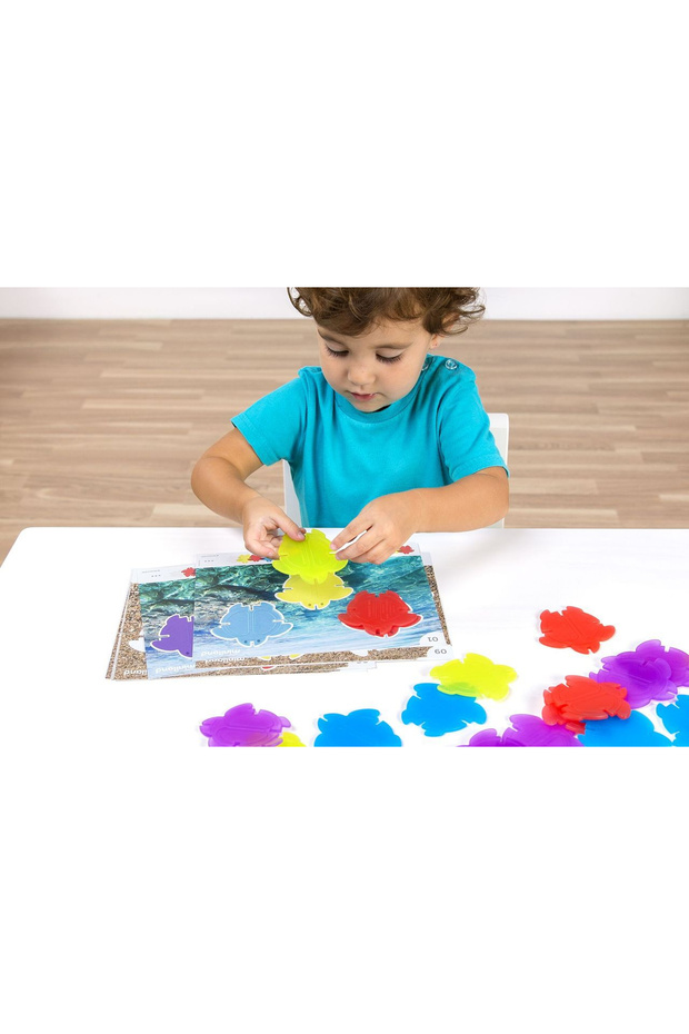 Turtle Math Game With Transparent Pieces - 2
