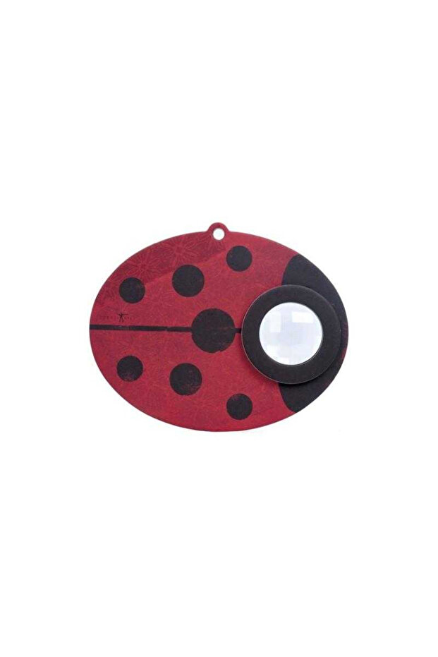 Optická hračka Lienka - 1