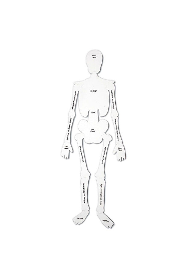 Puzzle de podea - Schelet - 4