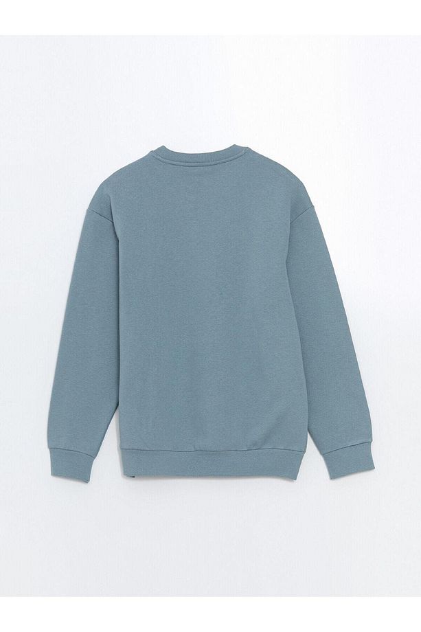 LCW Casual Mat Mavi Bisiklet Yaka Uzun Kollu Erkek Sweatshirt - 3