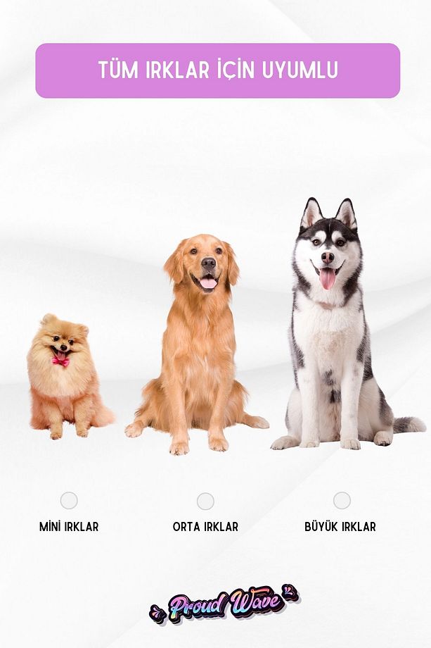 Köpek Oyuncağı 2 Adet Köpek Topu Eğitim Topu Stres İpten Top 9 cm Büyük - 4