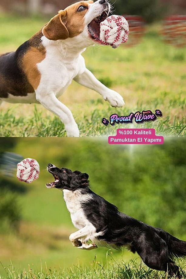Köpek Oyuncağı 2 Adet Köpek Topu Eğitim Topu Stres İpten Top 9 cm Büyük - 2