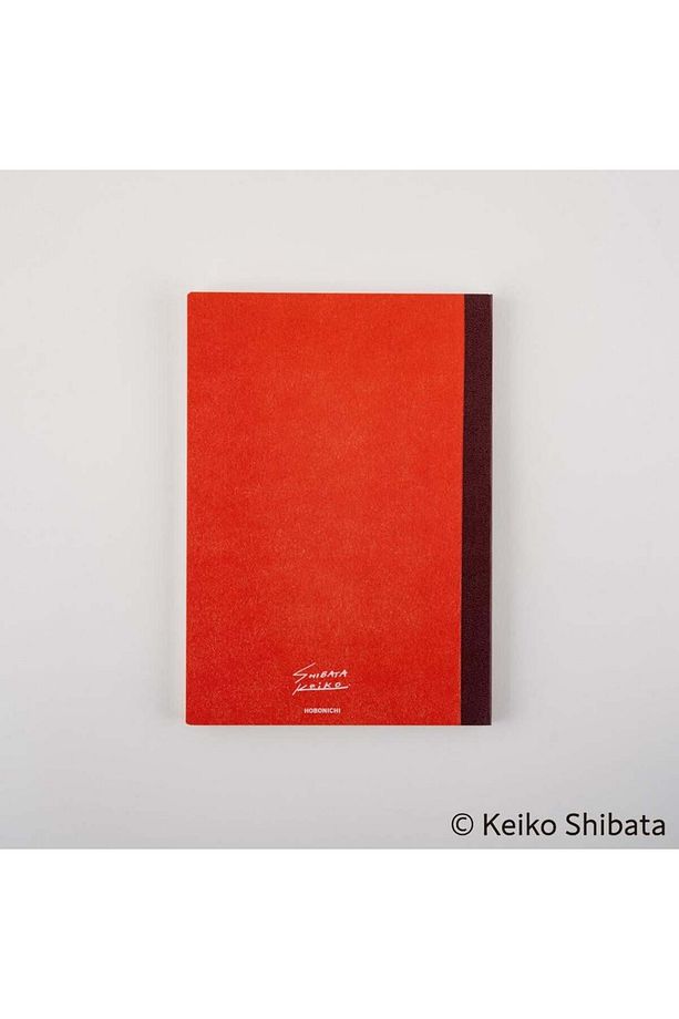 Graph Notebook - A5, Keiko Shibata: Who Is It? Kareli Defter - 2
