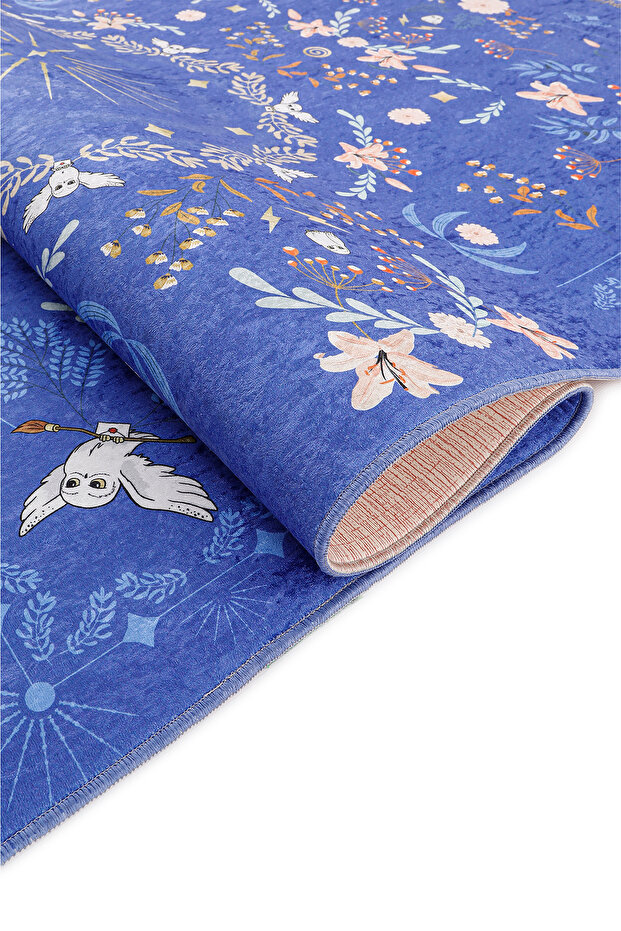 Harry Potter - Harry Hedwig - 2